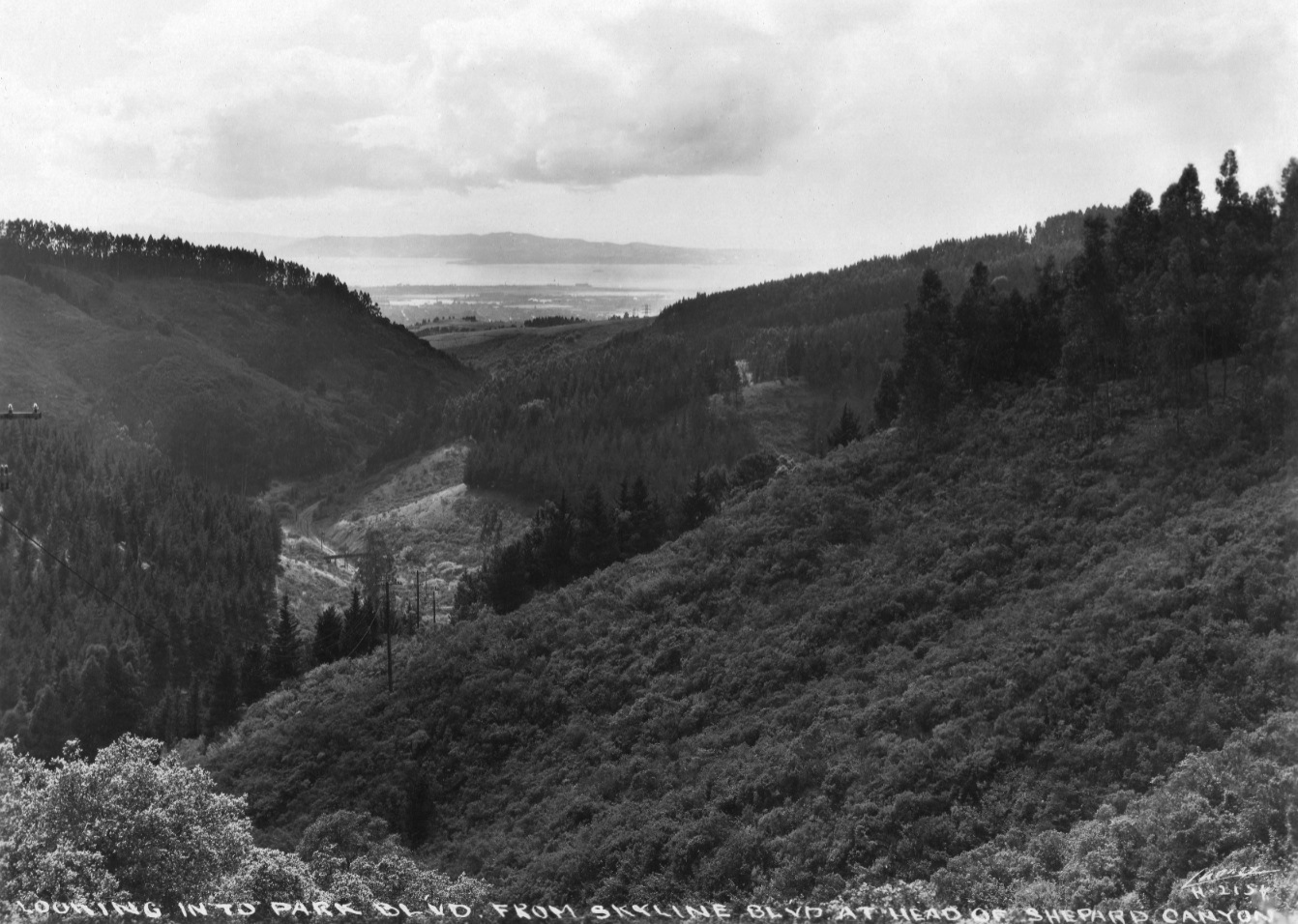 Forest Park and Wickham Havens East Bay Hills Project